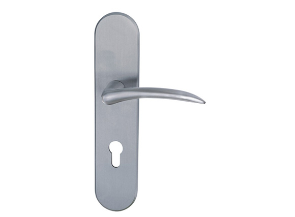 Stainless Steel Door Handle on Plate -