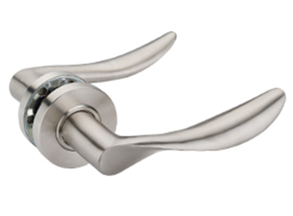 Door Handles On Rose - Satin Stainless Steel