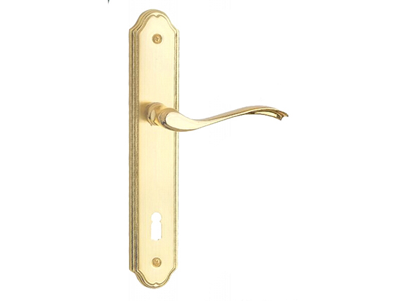 Modern Lever Handles on Backplate in Polished Brass